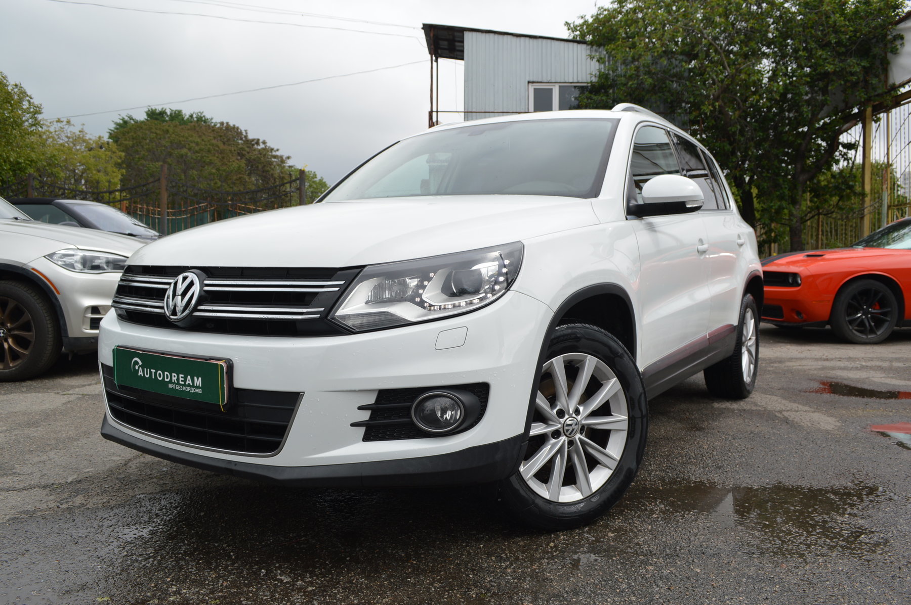 Volkswagen Tiguan