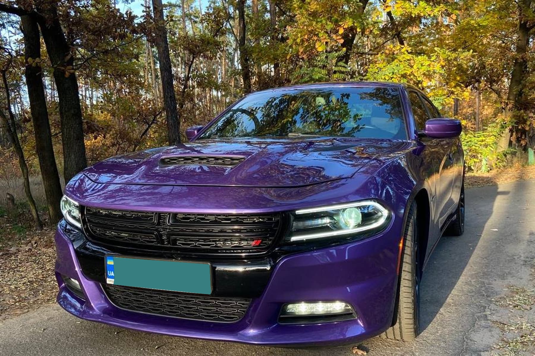 Dodge Charger R/T Purple 5.7L HEMI